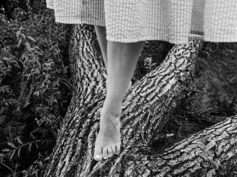 Uroboros. Ecology, Feminism,&nbsp;Ecofeminism