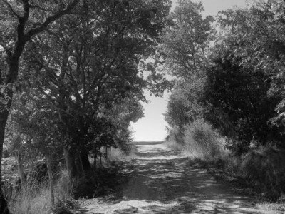 “Writing the Landscape. Literary Guidance on the Hiking Trail” book&nbsp;chapter