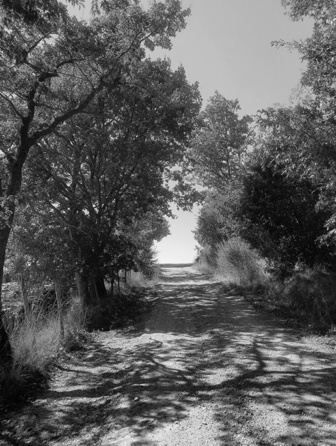 “Writing the Landscape. Literary Guidance on the Hiking Trail” book&nbsp;chapter