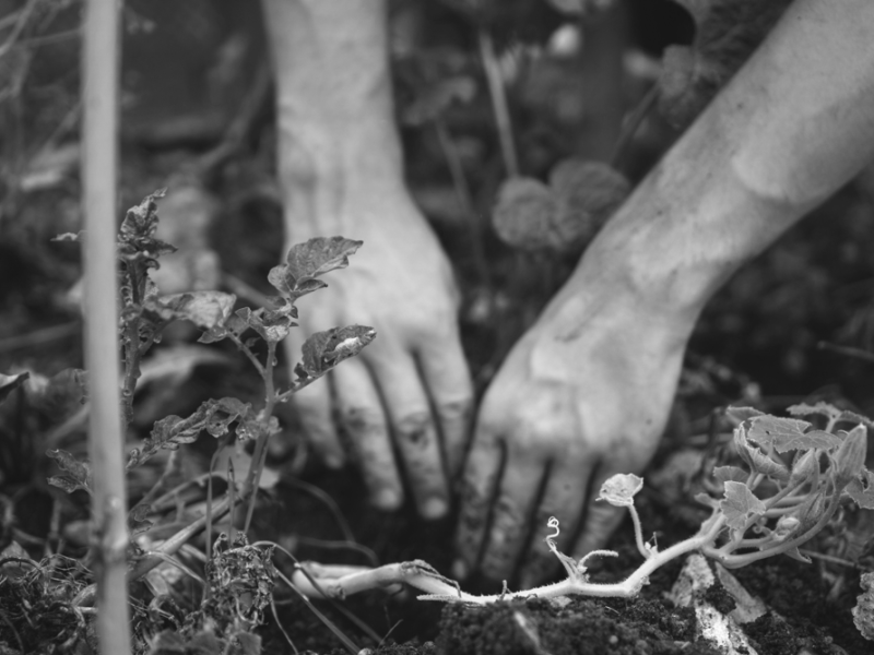 Interview to Mariateresa Muraca on the Movimiento de Mulheres Camponesas (MMC) in Brazil – Political and Philosophical&nbsp;Earnings