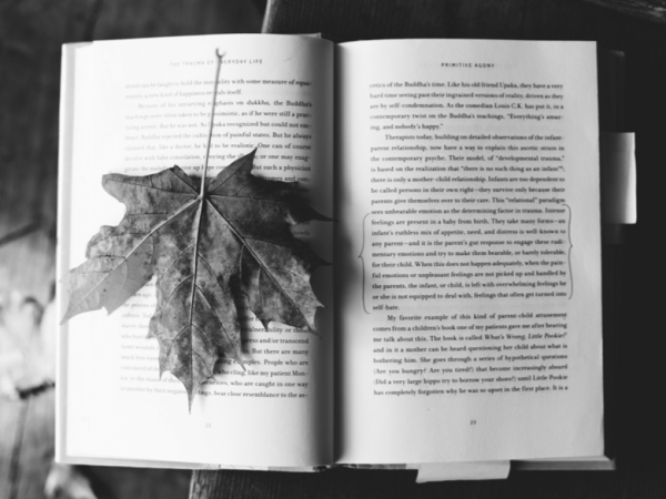 “Literary Ecocriticism”