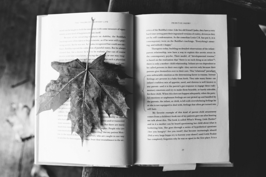 “Literary Ecocriticism” entry