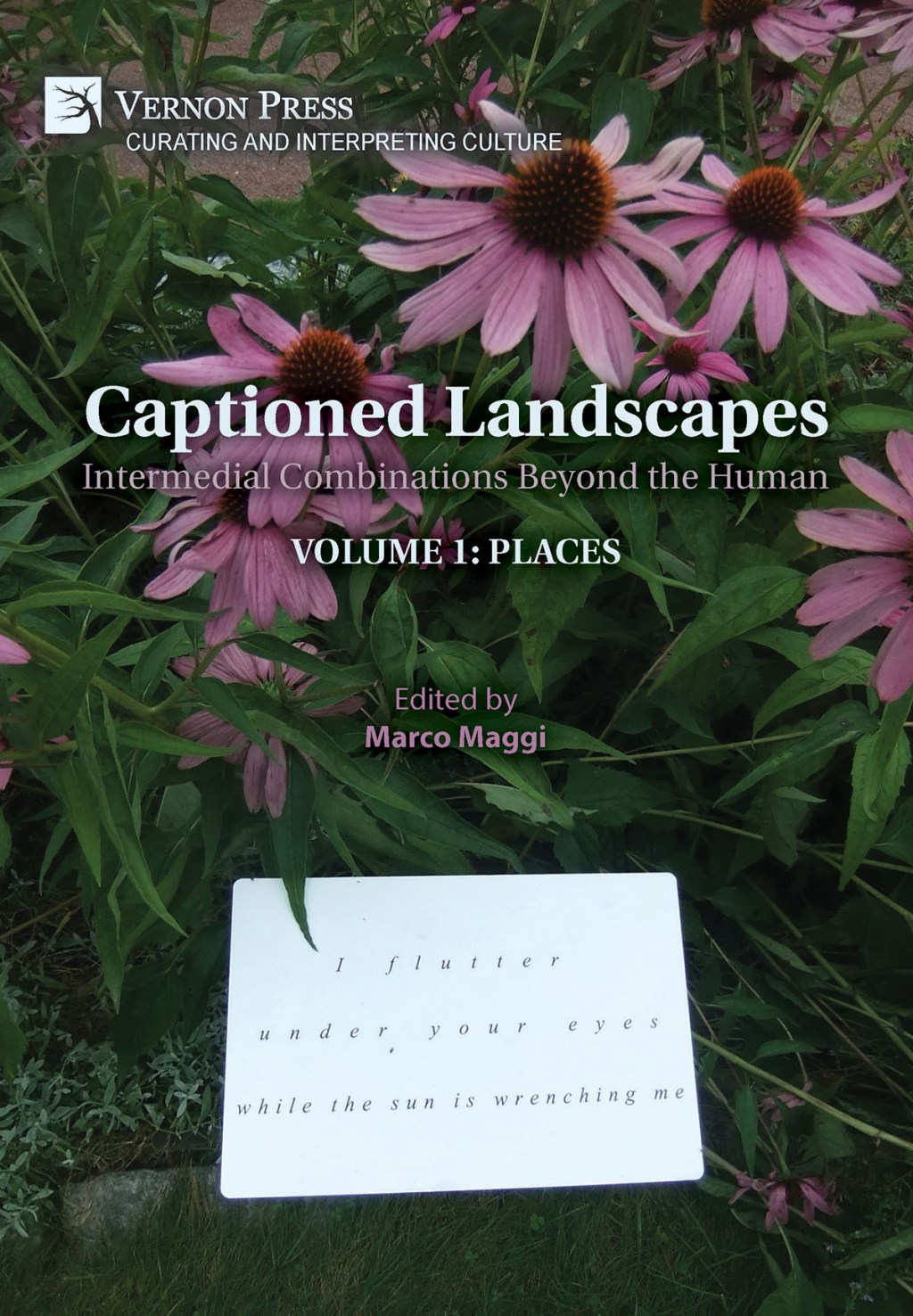 Captioned Landscapes: Intermedial Combinations Beyond the Human
Volume 1: Places